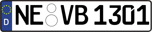 NE-VB1301
