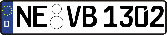 NE-VB1302