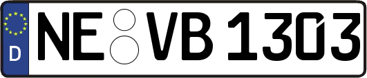 NE-VB1303