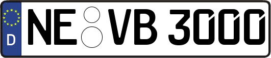 NE-VB3000