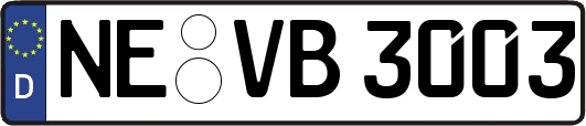 NE-VB3003