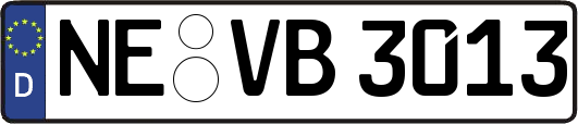 NE-VB3013