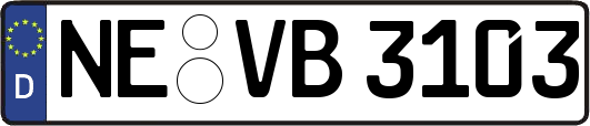 NE-VB3103