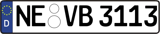 NE-VB3113