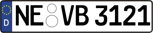 NE-VB3121