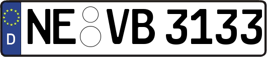 NE-VB3133