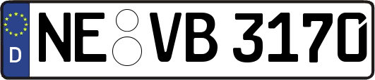 NE-VB3170