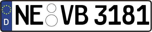 NE-VB3181