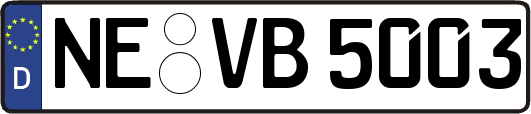 NE-VB5003