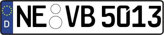 NE-VB5013