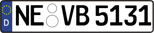 NE-VB5131