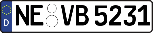 NE-VB5231