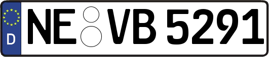 NE-VB5291