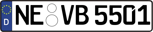 NE-VB5501