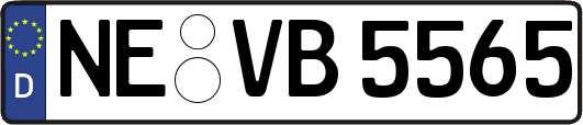 NE-VB5565