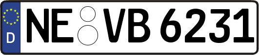 NE-VB6231