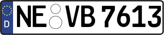 NE-VB7613