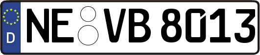 NE-VB8013