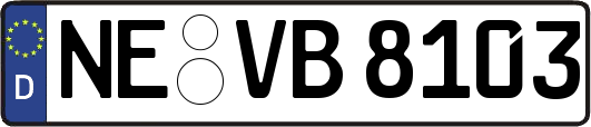NE-VB8103
