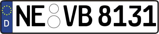 NE-VB8131