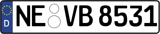 NE-VB8531