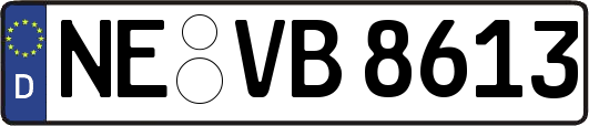 NE-VB8613
