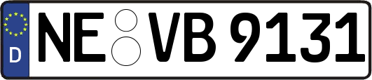 NE-VB9131