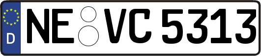 NE-VC5313