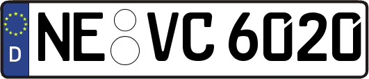 NE-VC6020
