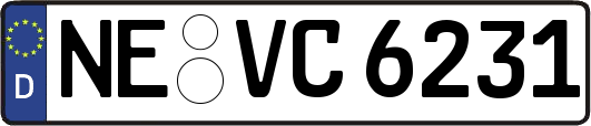 NE-VC6231