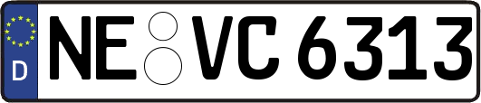 NE-VC6313