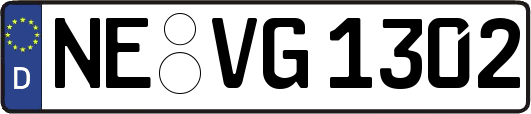 NE-VG1302
