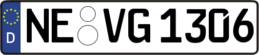 NE-VG1306