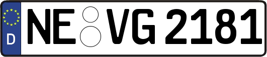 NE-VG2181