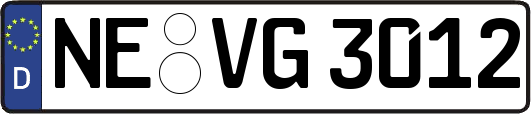 NE-VG3012