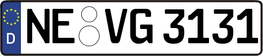 NE-VG3131
