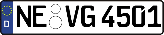 NE-VG4501