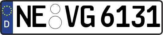 NE-VG6131