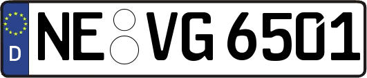 NE-VG6501