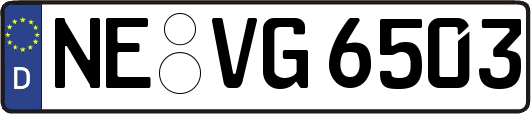 NE-VG6503
