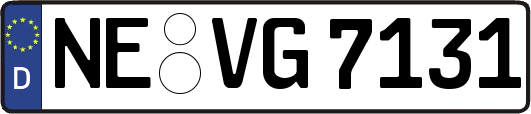 NE-VG7131