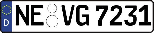 NE-VG7231