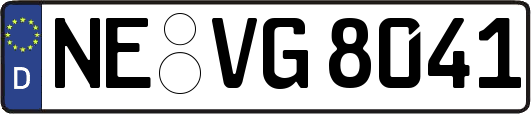 NE-VG8041