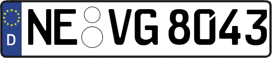 NE-VG8043