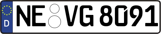 NE-VG8091