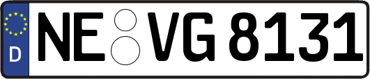 NE-VG8131