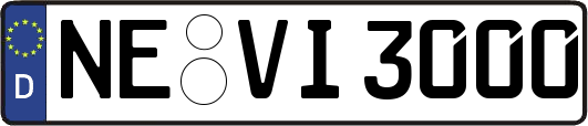 NE-VI3000