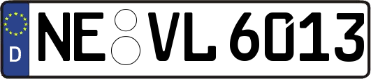 NE-VL6013