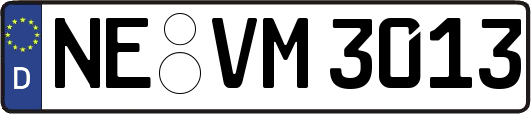 NE-VM3013