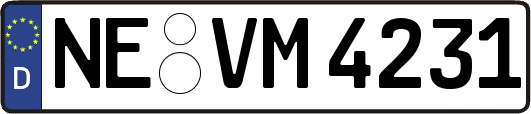 NE-VM4231